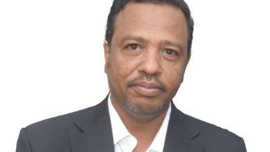 مامون 8