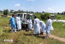 دعم كبير من بريطانيا لجهود مكافحة إيبولا 9 1781064090648 ttxvn ebola chdc congo 1006 2 jpg