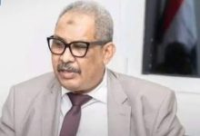 وزير الزراعة والري: التحول للزراعة الحديثة ضرورة.. ومشروع زادي 1 إضافة نوعية 12 IMG ٢٠٢٦٠٨٣٠ ٠٨٣١٣٢