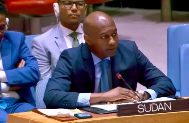 دبلوماسي سوداني: السلام لن يتحقق بتجريد الدولة من السلاح وتسليح المليشيا 1 1788645037776