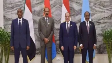 السودان... و3 دول يحسمون ملفات ساخنة بشأن أمن القرن الأفريقي 7 Screenshot ٢٠٢٦١٠٠٥ ٠٩١٧٢٨