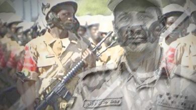 sudan RSF from militias to regime forces 2003 2018